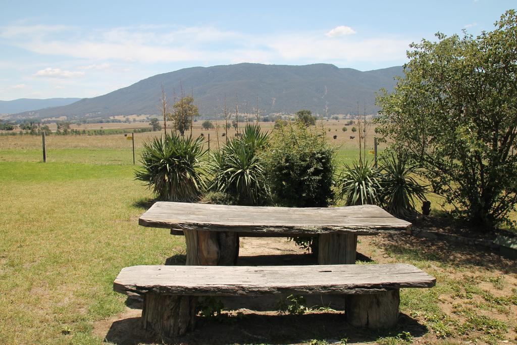 山景汽车旅馆 Corryong 外观 照片