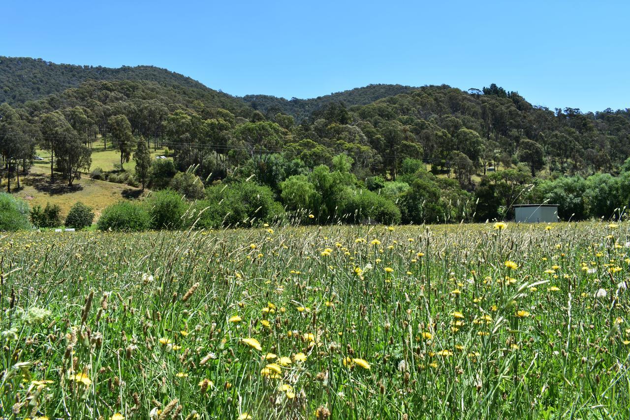 山景汽车旅馆 Corryong 外观 照片