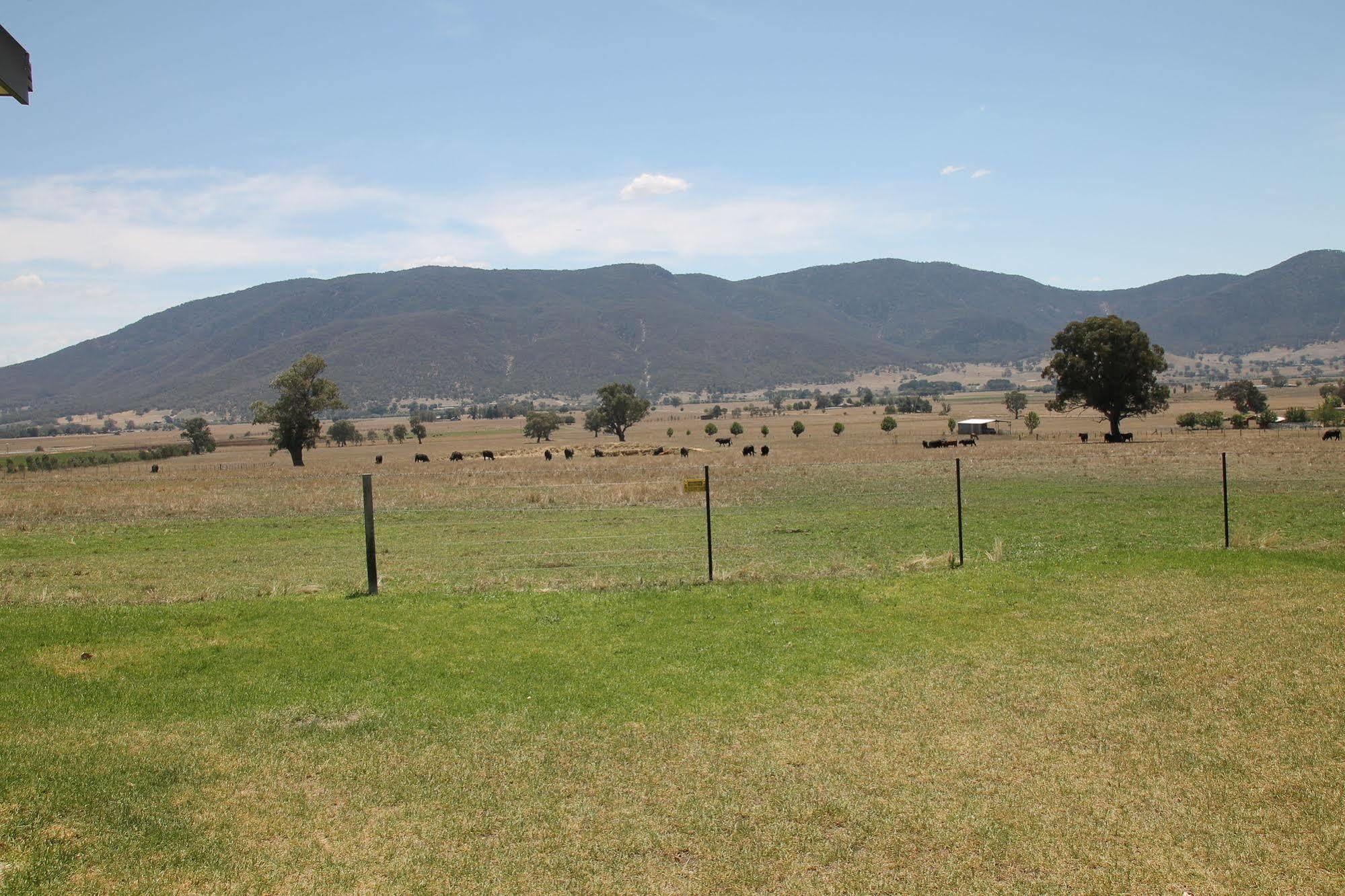 山景汽车旅馆 Corryong 外观 照片